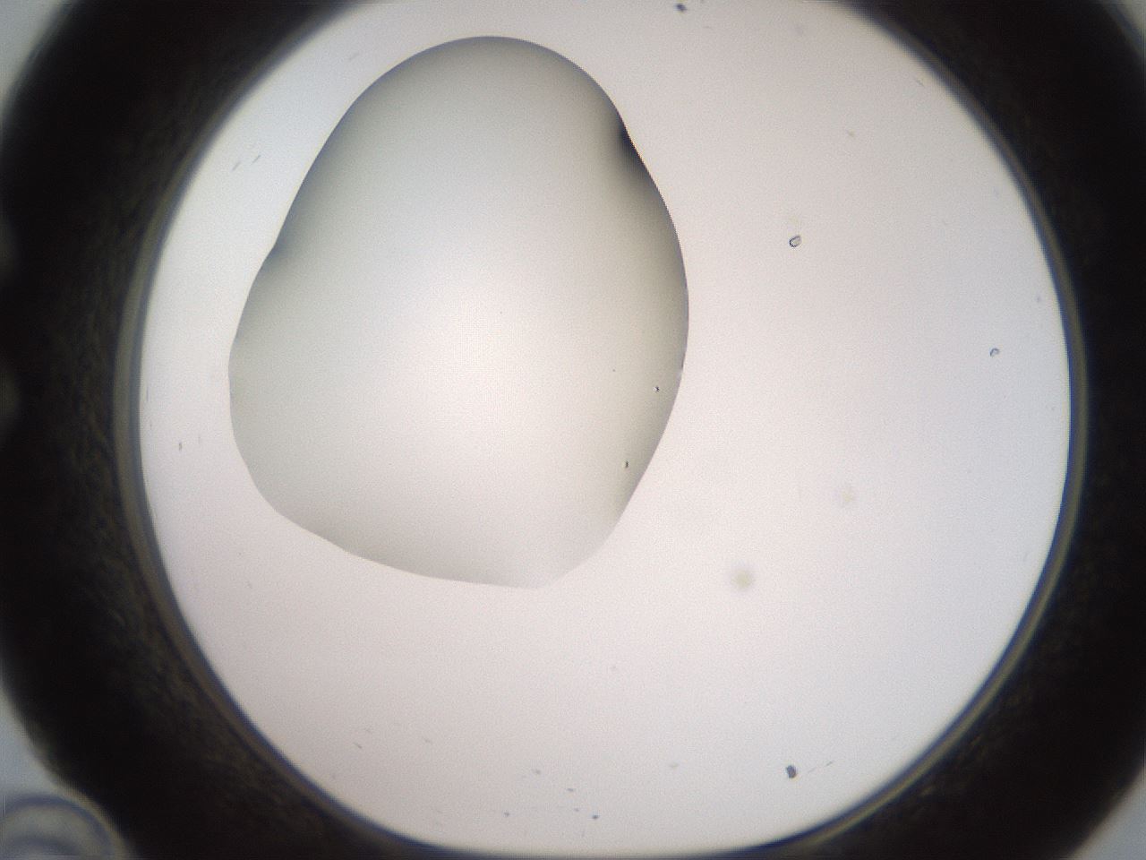 folderID248_plateID2248_batchID10283_wellNum34_profileID1_d1_r155901_ef.jpg