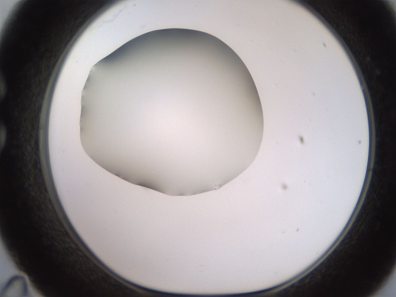 folderID248_plateID2248_batchID10283_wellNum35_profileID1_d1_r155903_ef.jpg