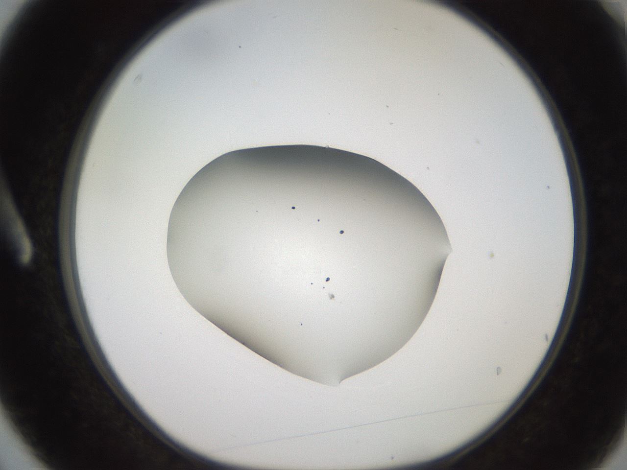 folderID248_plateID2248_batchID10283_wellNum3_profileID1_d1_r155839_ef.jpg