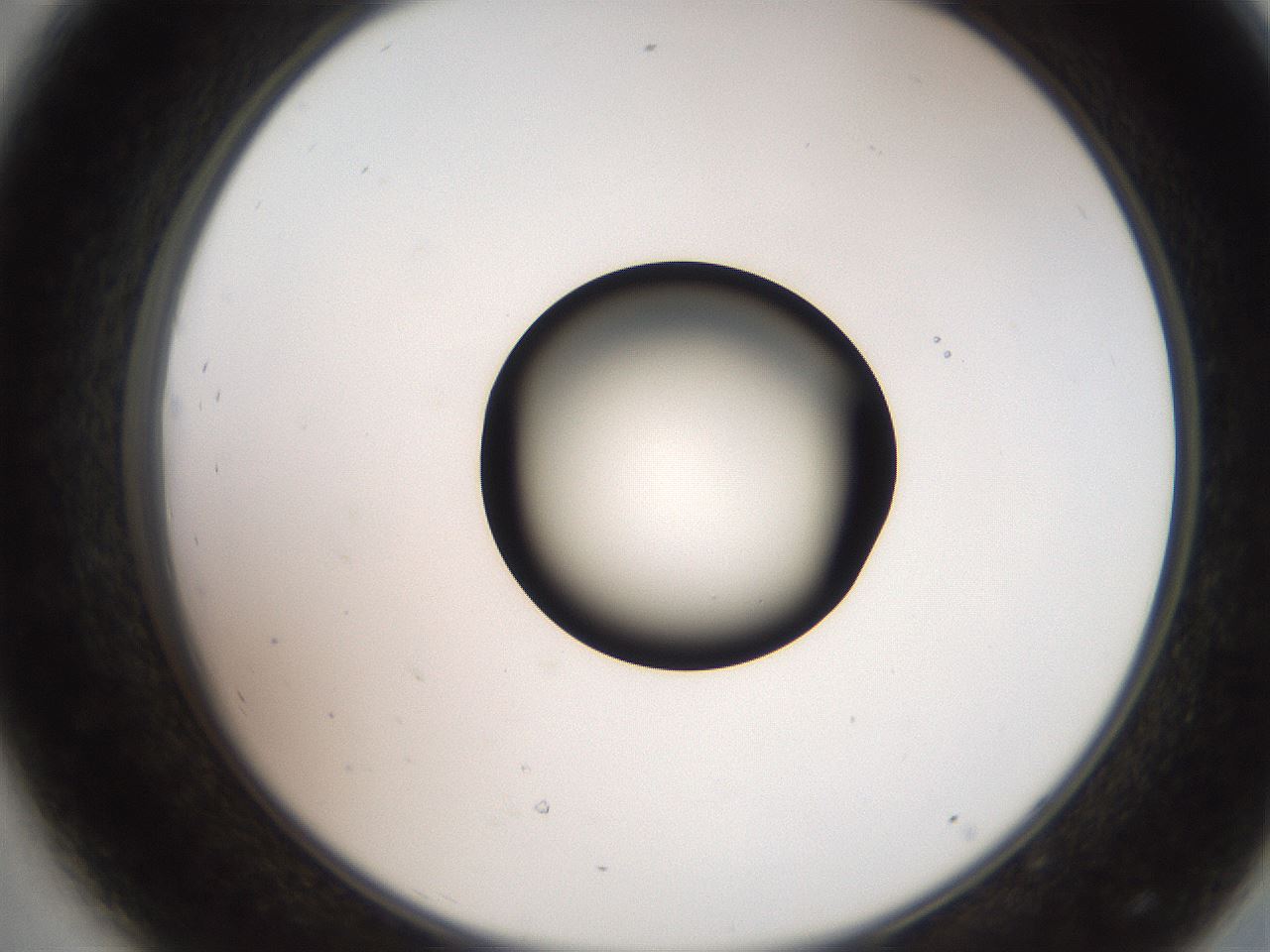 folderID248_plateID2248_batchID10283_wellNum44_profileID1_d2_r155922_ef.jpg