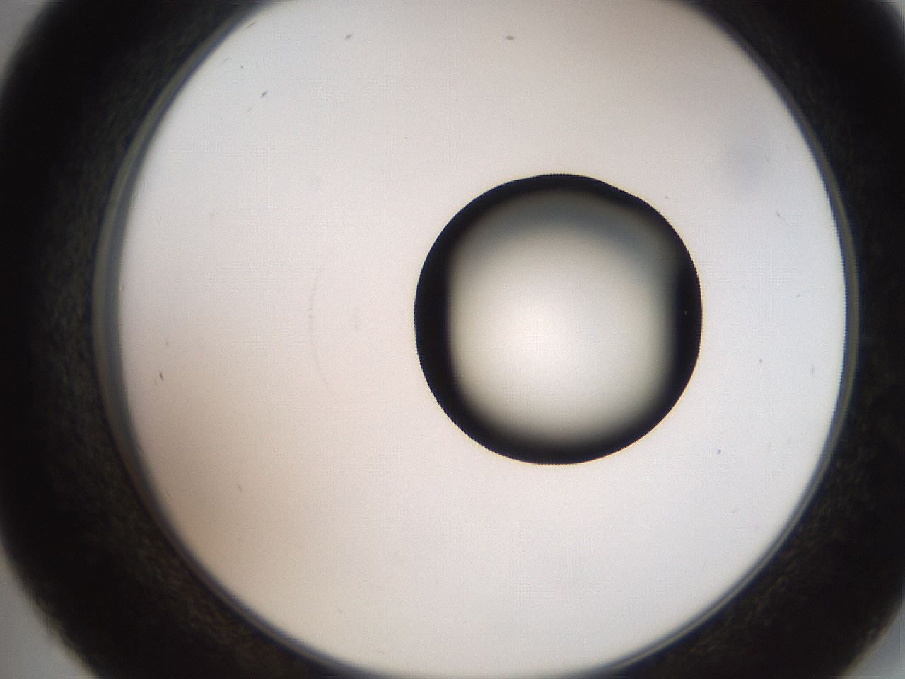 folderID248_plateID2248_batchID10283_wellNum45_profileID1_d2_r155924_ef.jpg