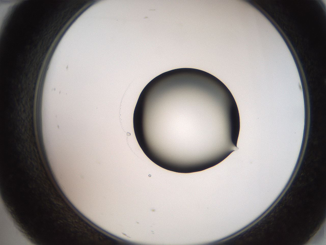 folderID248_plateID2248_batchID10283_wellNum46_profileID1_d2_r155926_ef.jpg