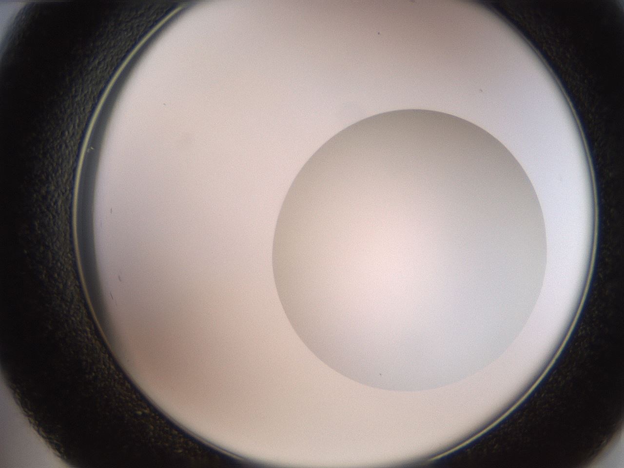 folderID248_plateID2248_batchID10283_wellNum48_profileID1_d2_r155930_ef.jpg