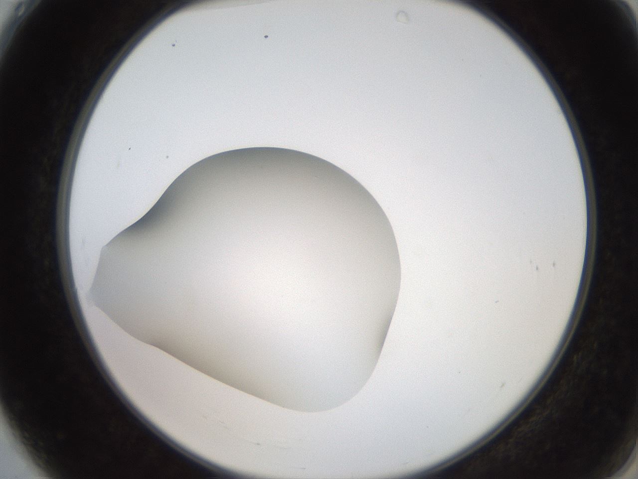 folderID248_plateID2248_batchID10283_wellNum4_profileID1_d2_r155842_ef.jpg