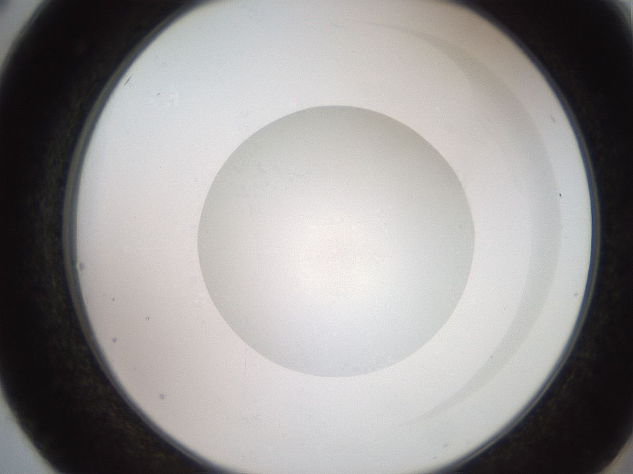 folderID248_plateID2248_batchID10283_wellNum50_profileID1_d2_r155934_ef.jpg