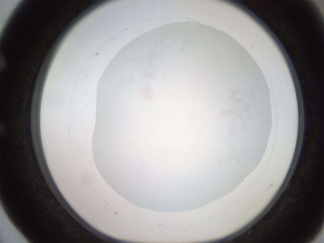 folderID248_plateID2248_batchID10283_wellNum52_profileID1_d1_r155937_ef.jpg