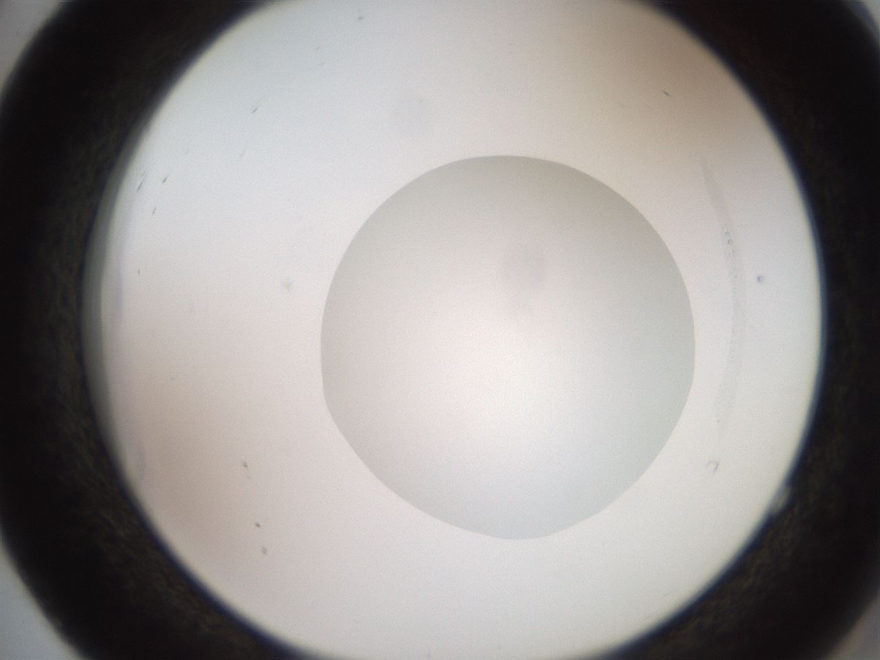folderID248_plateID2248_batchID10283_wellNum52_profileID1_d2_r155938_ef.jpg