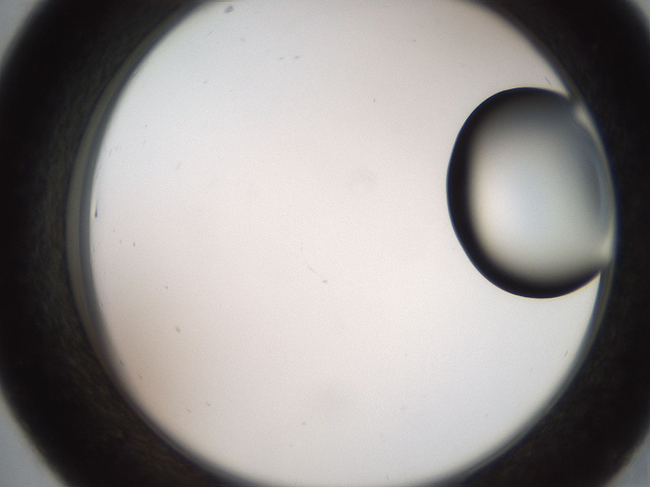 folderID248_plateID2248_batchID10283_wellNum43_profileID1_d2_r155920_ef.jpg