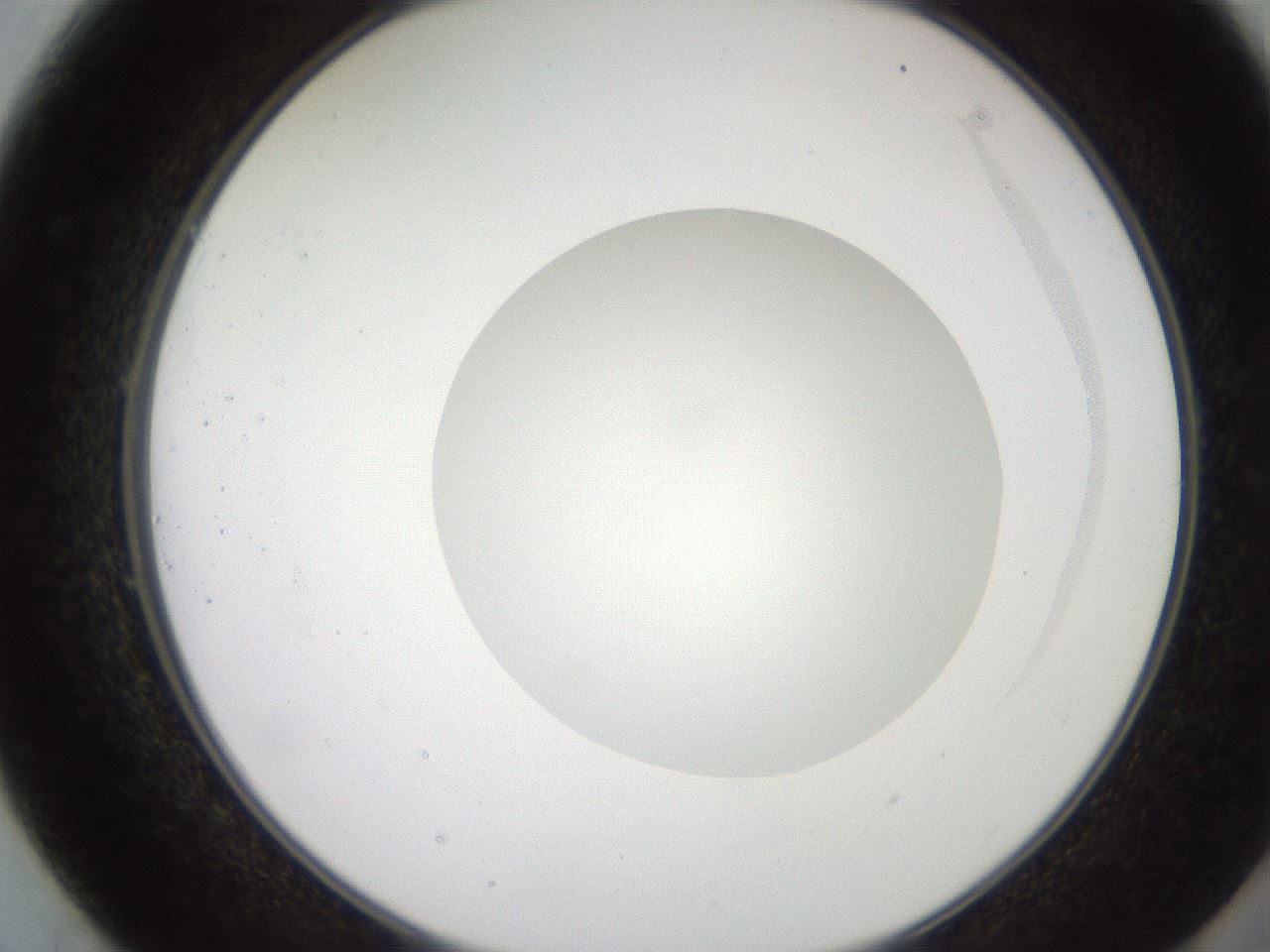 folderID248_plateID2248_batchID10283_wellNum49_profileID1_d2_r155932_ef.jpg