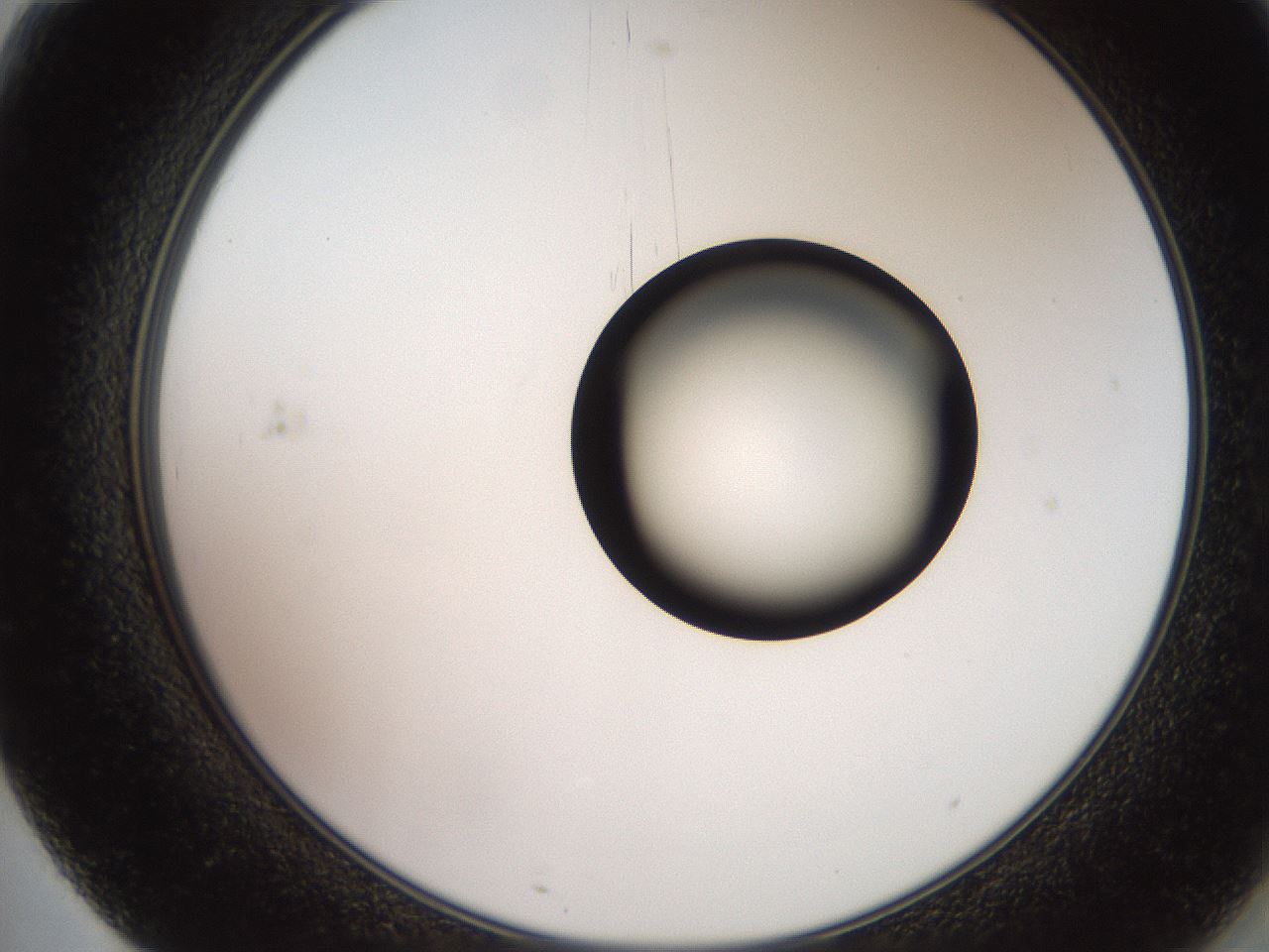 folderID248_plateID2248_batchID10283_wellNum71_profileID1_d2_r155976_ef.jpg