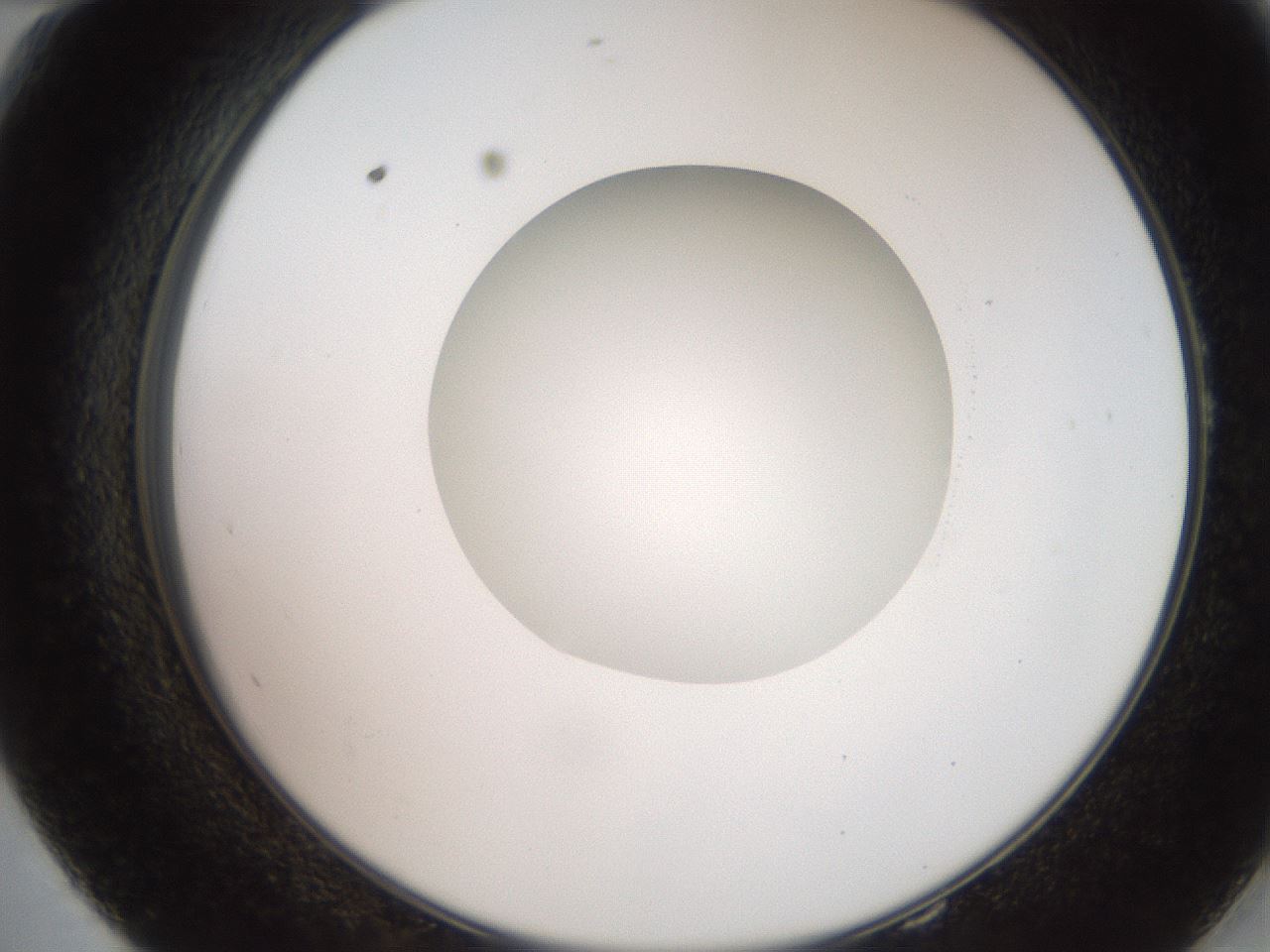 folderID248_plateID2248_batchID10283_wellNum58_profileID1_d2_r155950_ef.jpg