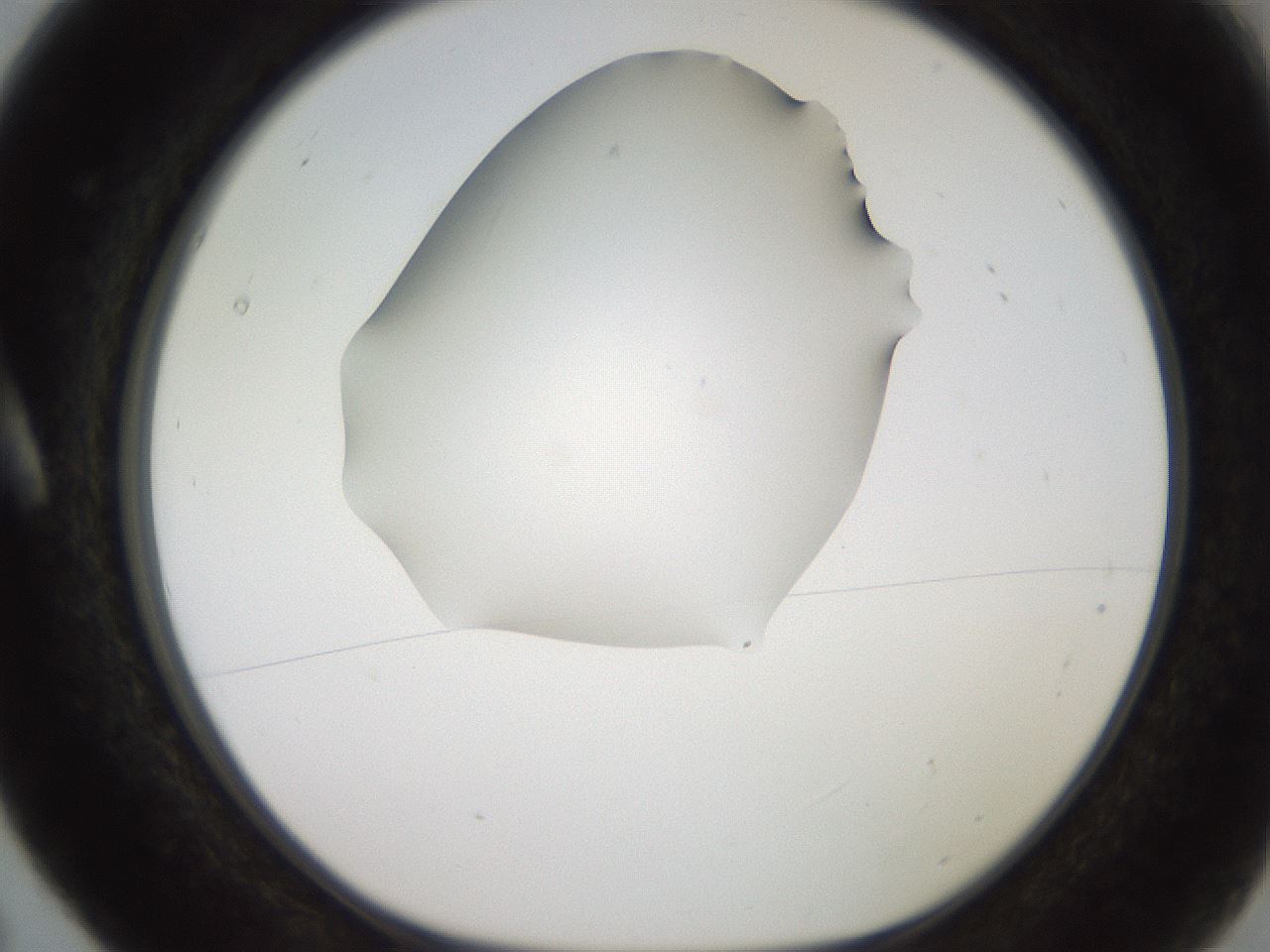 folderID248_plateID2248_batchID10283_wellNum5_profileID1_d1_r155843_ef.jpg