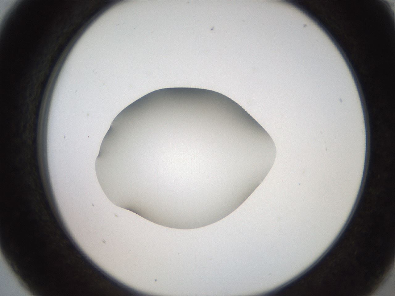 folderID248_plateID2248_batchID10283_wellNum5_profileID1_d2_r155844_ef.jpg
