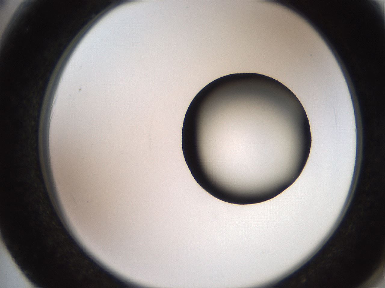 folderID248_plateID2248_batchID10283_wellNum62_profileID1_d2_r155958_ef.jpg