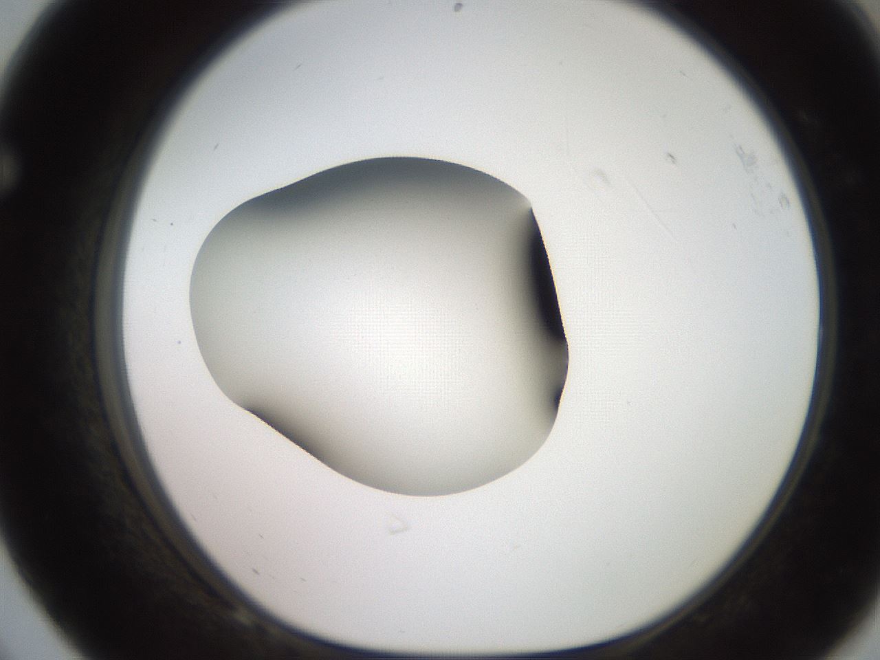 folderID248_plateID2248_batchID10283_wellNum68_profileID1_d1_r155969_ef.jpg