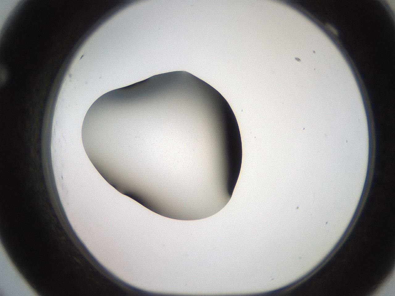 folderID248_plateID2248_batchID10283_wellNum69_profileID1_d1_r155971_ef.jpg