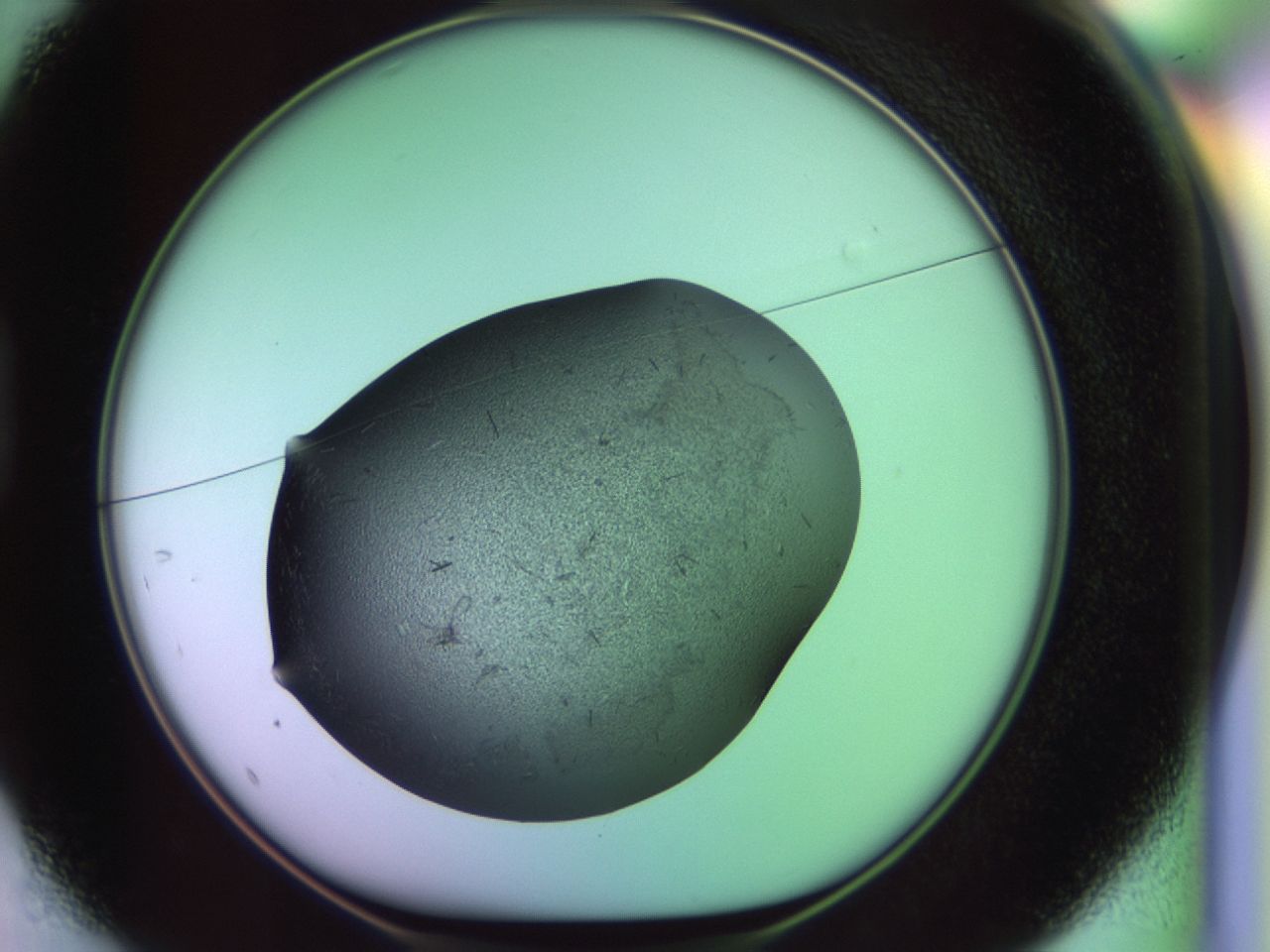 02hh_D1_ImagerDefaults_6.jpg