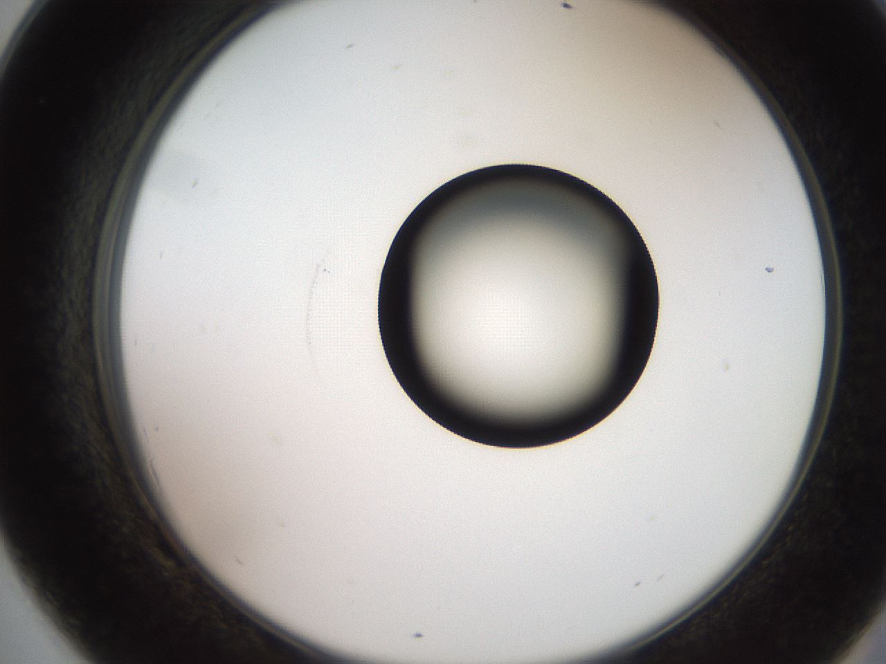 folderID248_plateID2248_batchID10283_wellNum69_profileID1_d2_r155972_ef.jpg