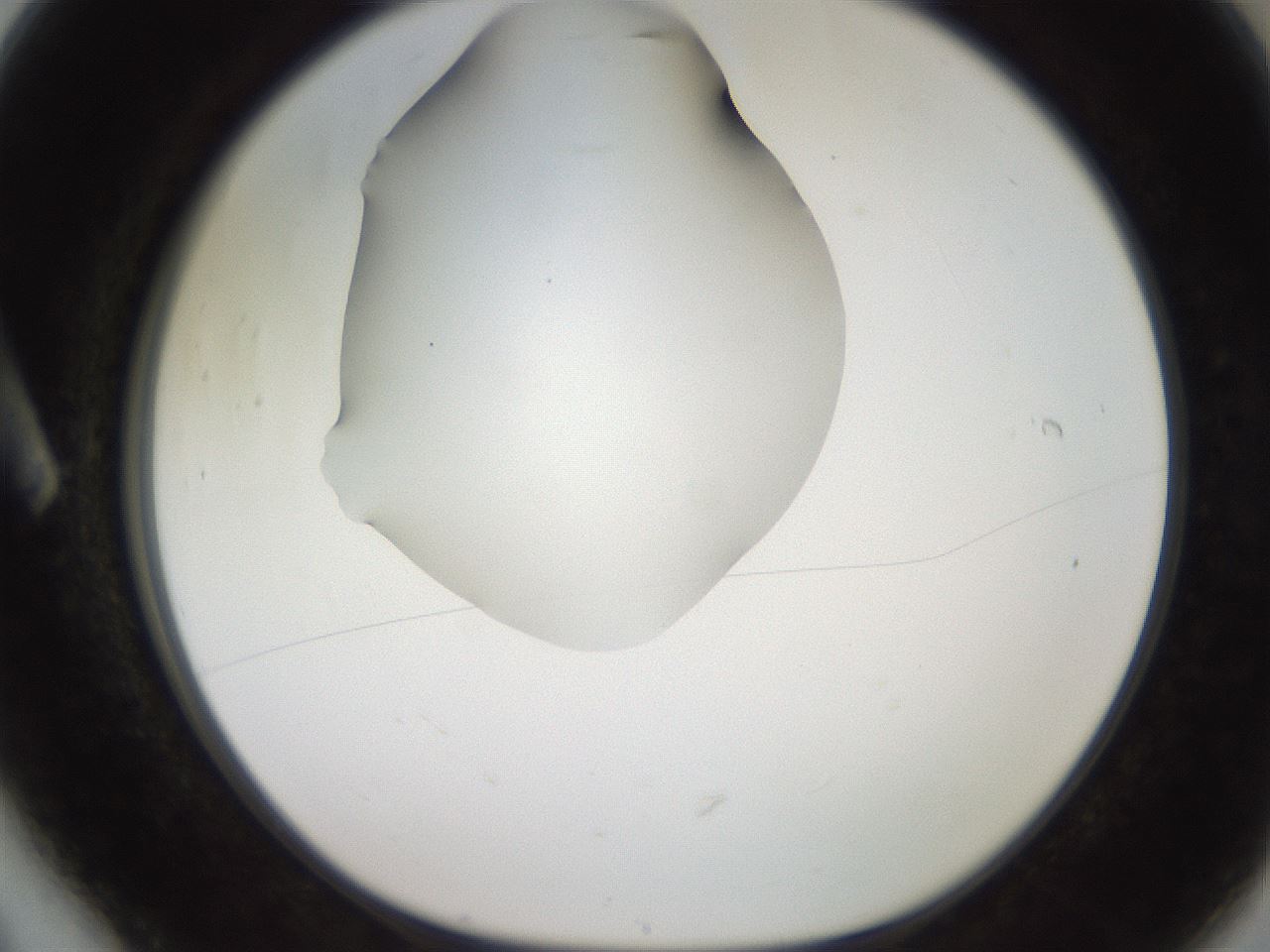 folderID248_plateID2248_batchID10283_wellNum6_profileID1_d1_r155845_ef.jpg