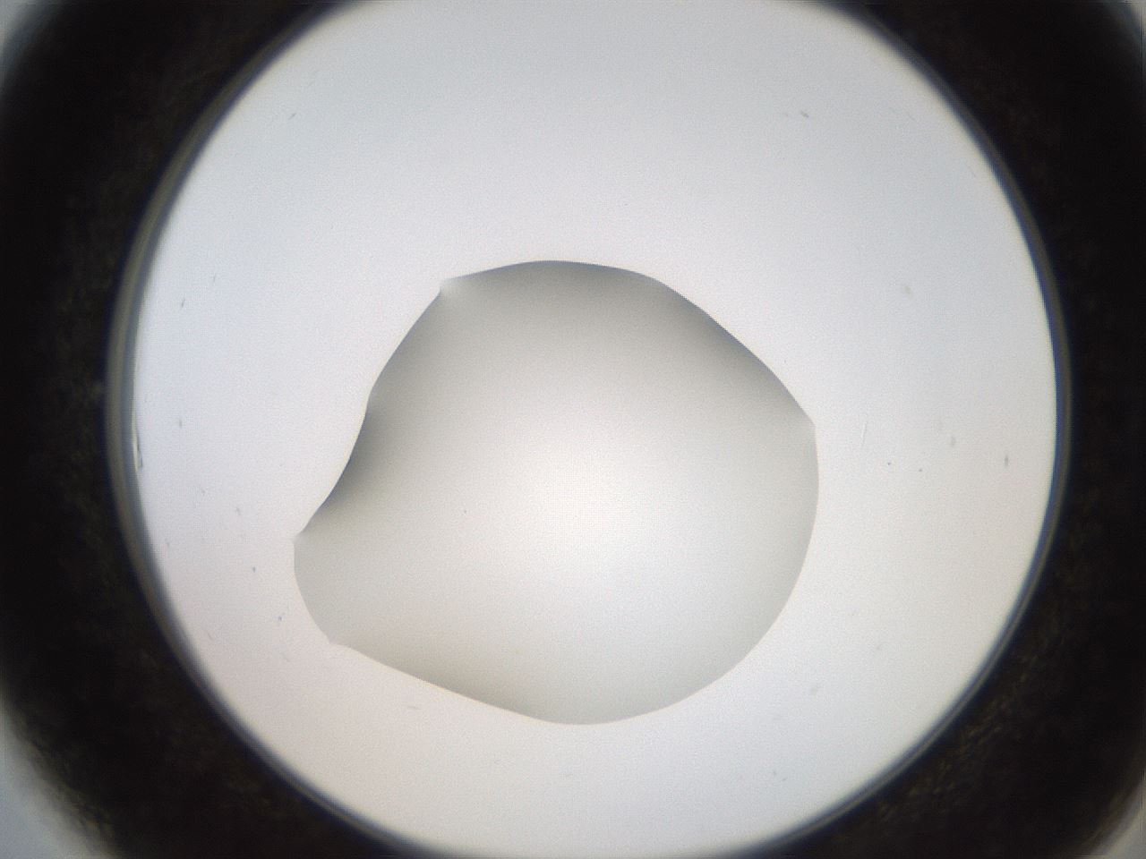 folderID248_plateID2248_batchID10283_wellNum6_profileID1_d2_r155846_ef.jpg