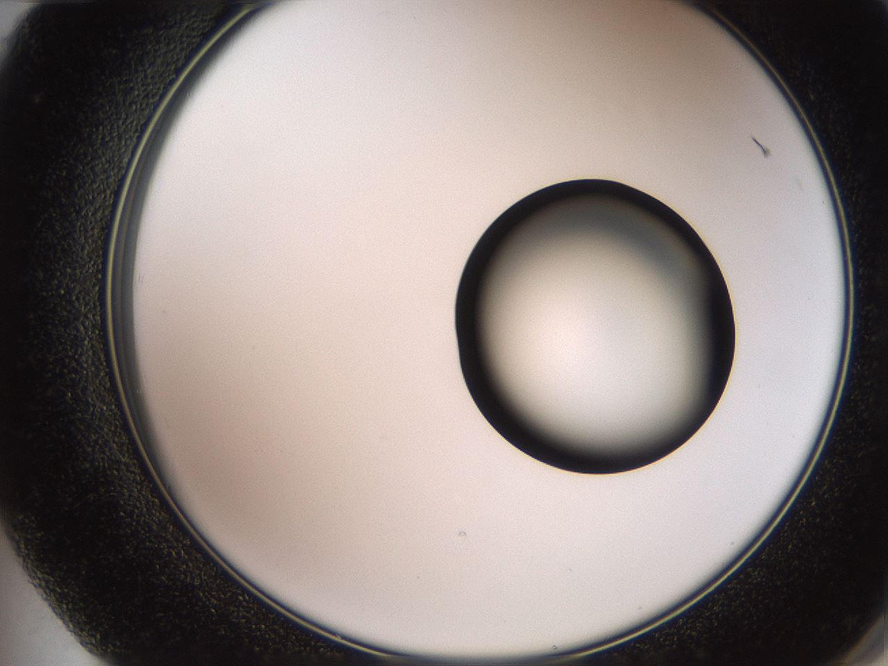 folderID248_plateID2248_batchID10283_wellNum72_profileID1_d2_r155978_ef.jpg