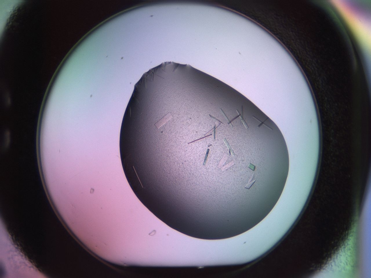 02hh_C6_ImagerDefaults_9.jpg