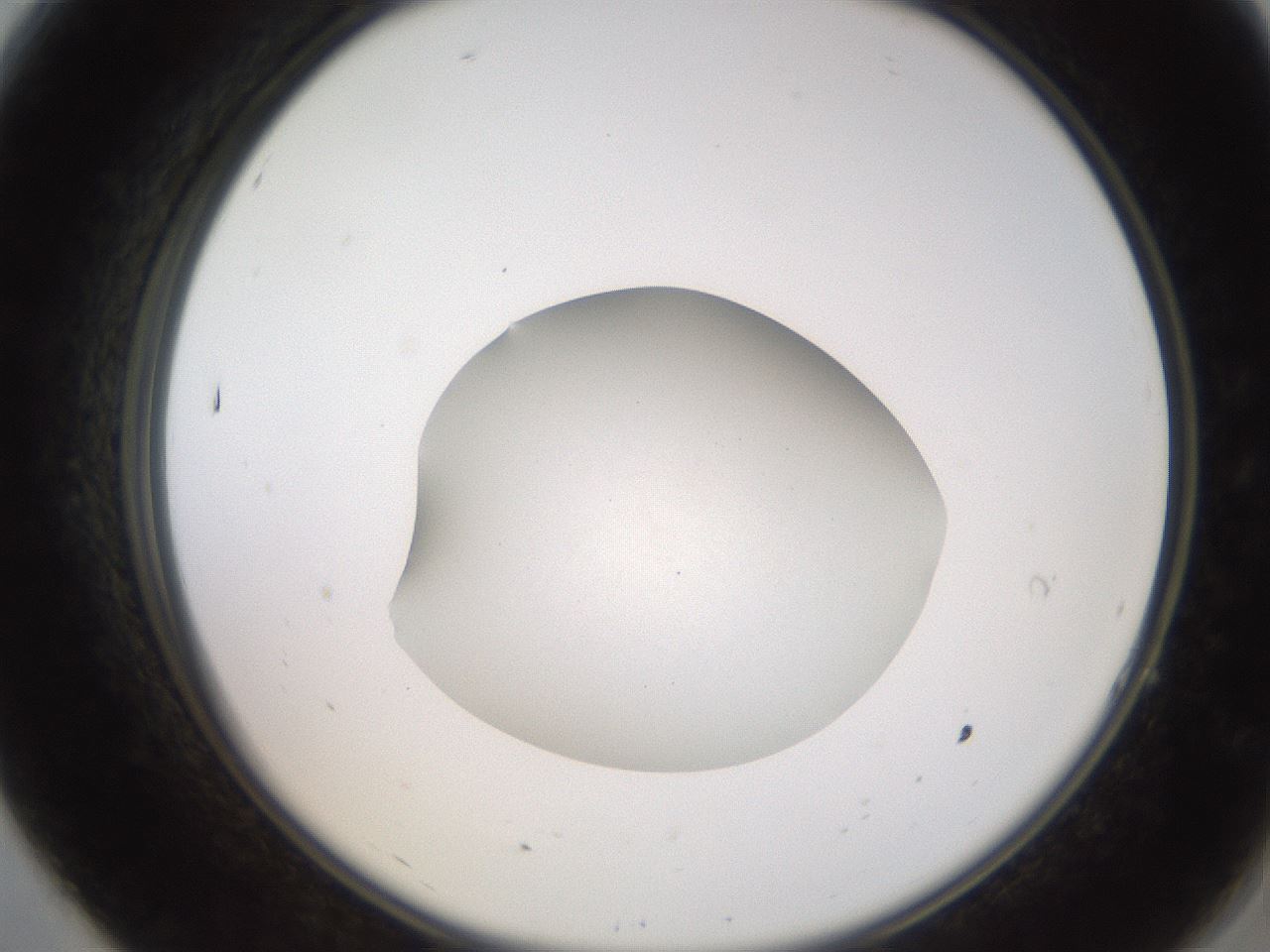 folderID248_plateID2248_batchID10283_wellNum7_profileID1_d2_r155848_ef.jpg