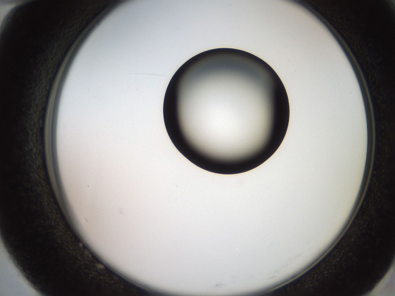 folderID248_plateID2248_batchID10283_wellNum82_profileID1_d2_r155998_ef.jpg