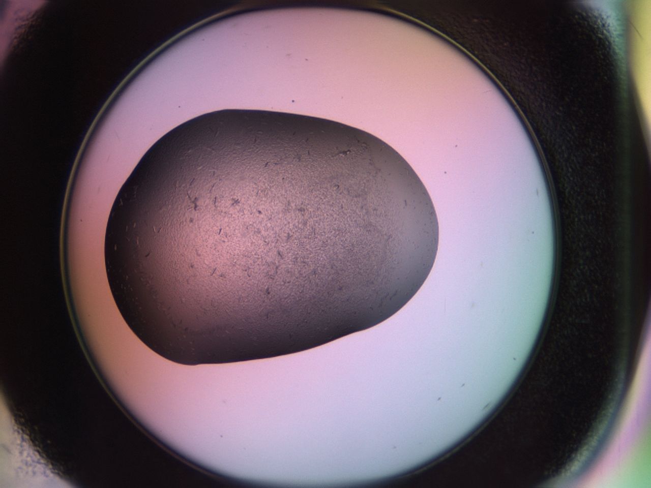 02hh_C5_ImagerDefaults_6.jpg