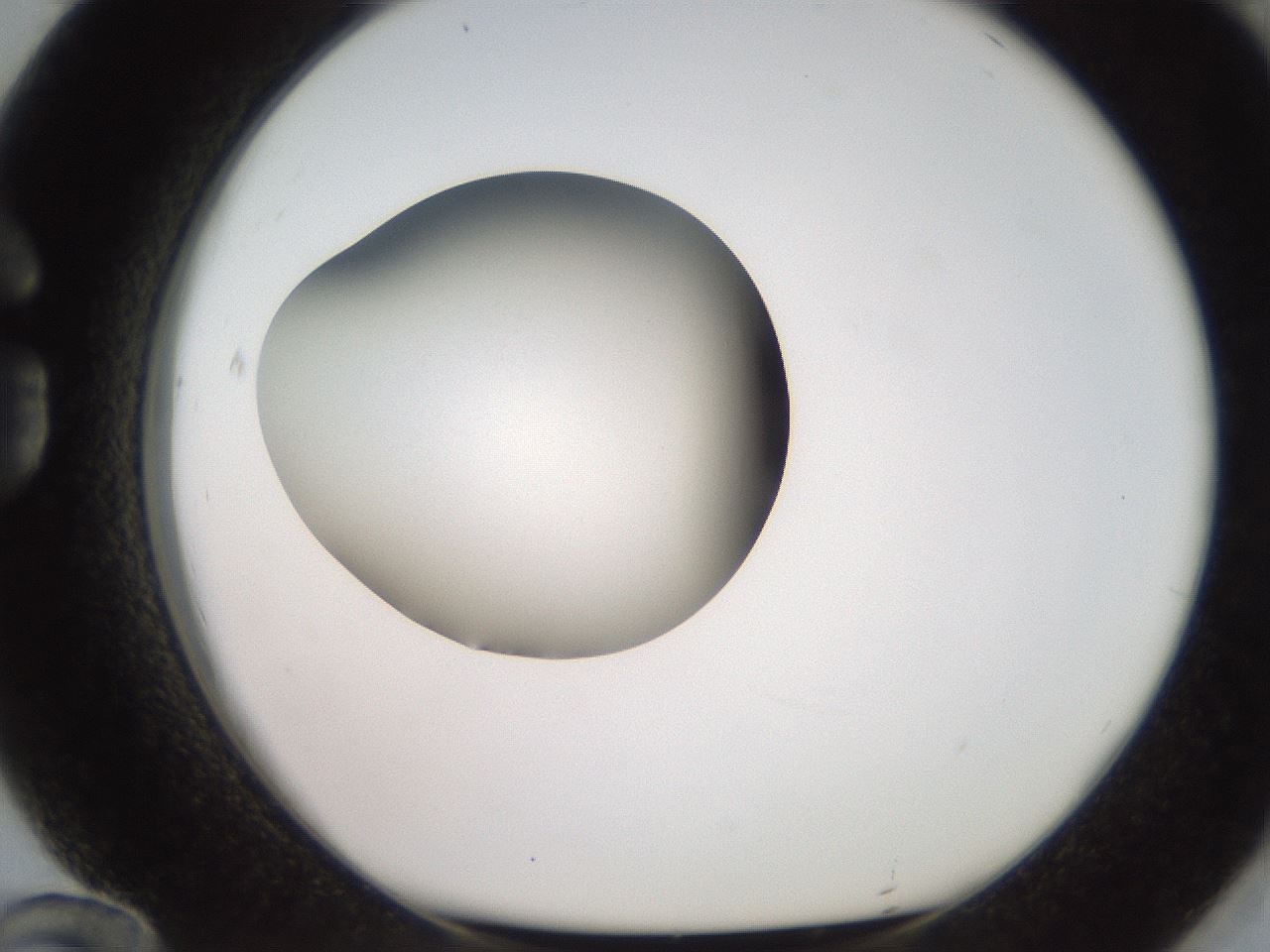 folderID248_plateID2248_batchID10283_wellNum84_profileID1_d1_r156001_ef.jpg