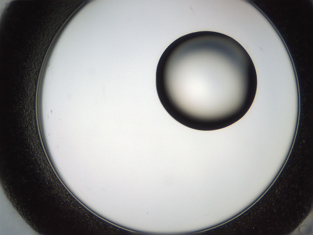 folderID248_plateID2248_batchID10283_wellNum84_profileID1_d2_r156002_ef.jpg
