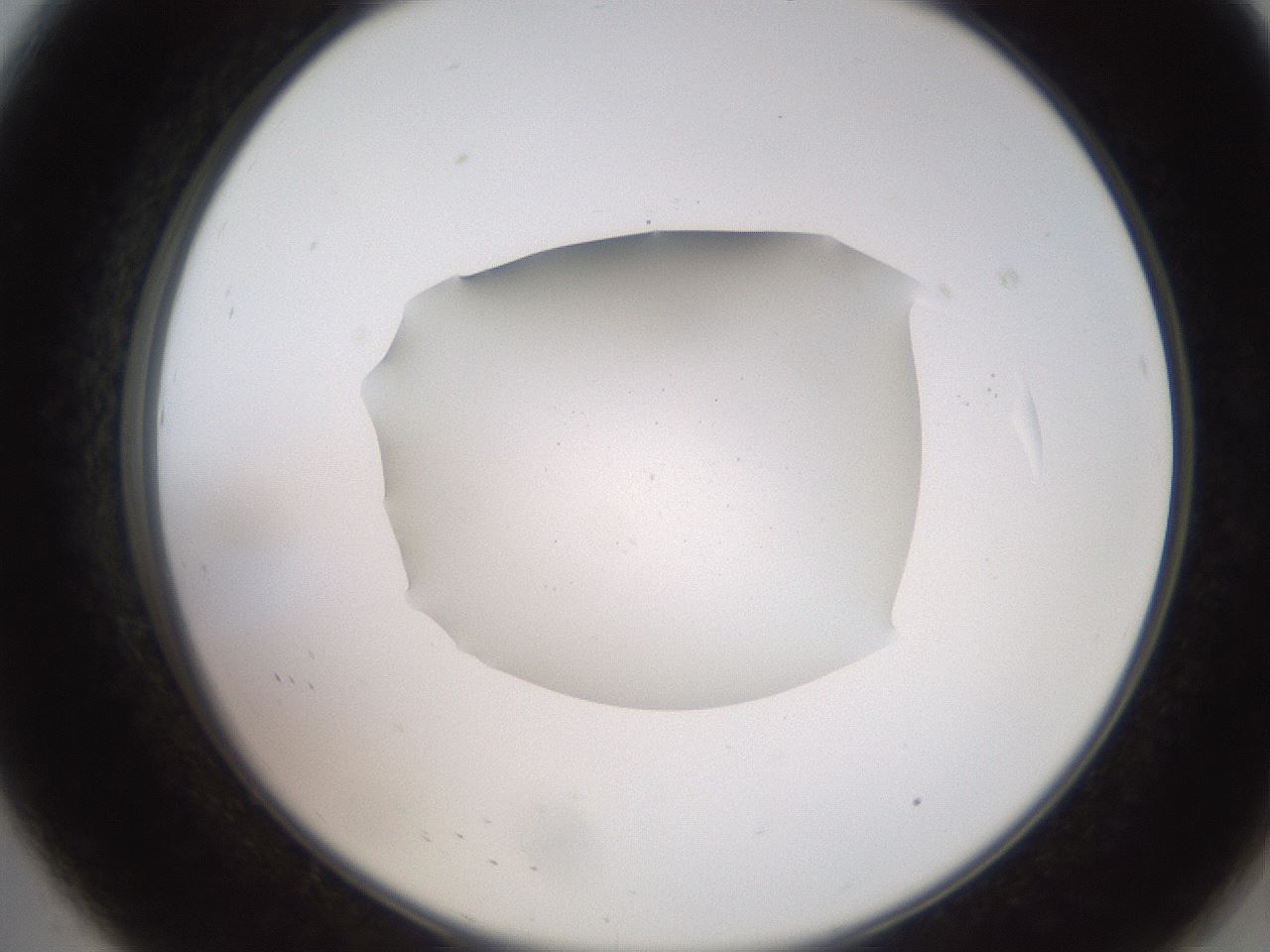folderID248_plateID2248_batchID10283_wellNum8_profileID1_d2_r155850_ef.jpg