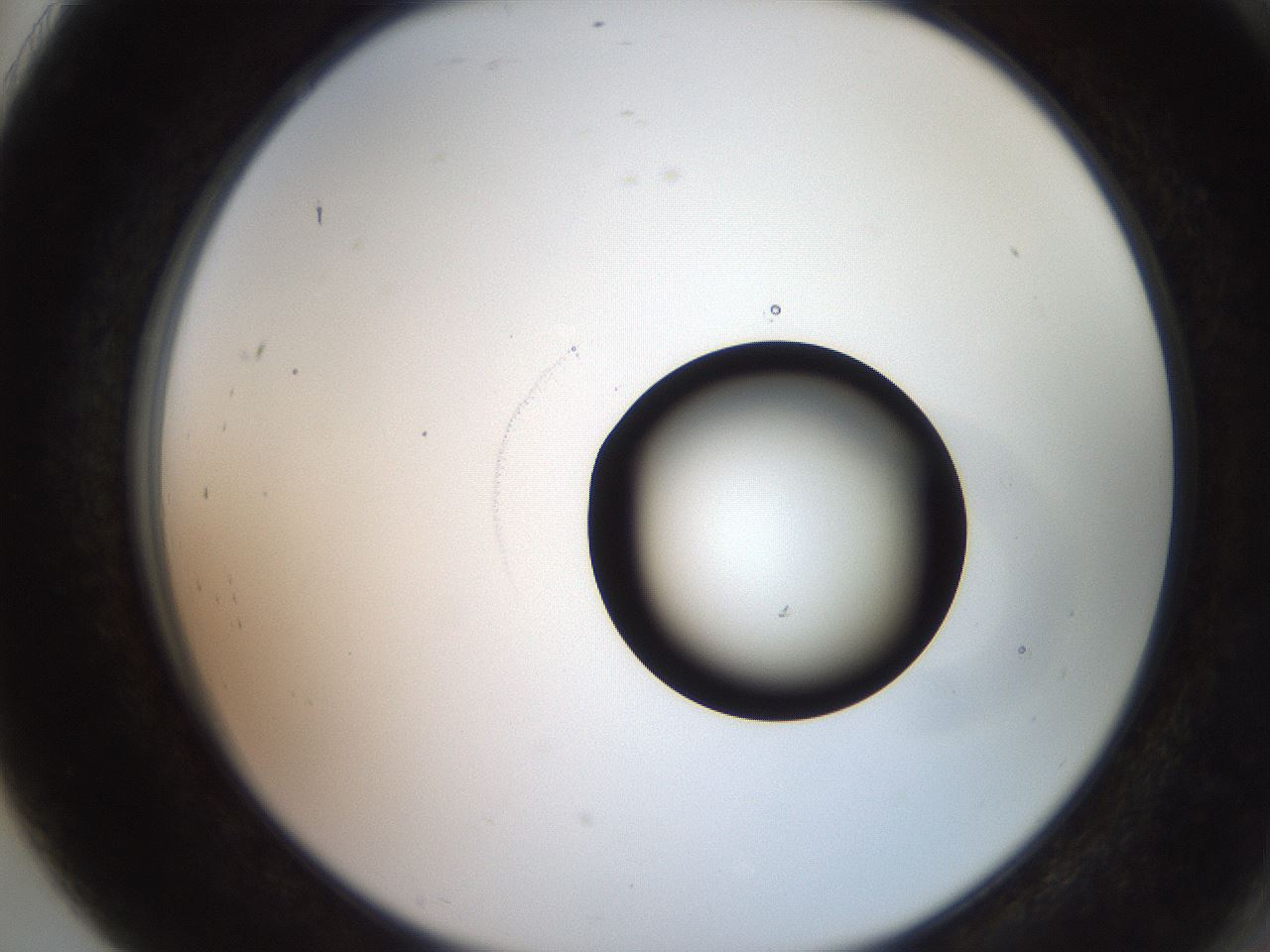 folderID248_plateID2248_batchID10283_wellNum91_profileID1_d2_r156016_ef.jpg