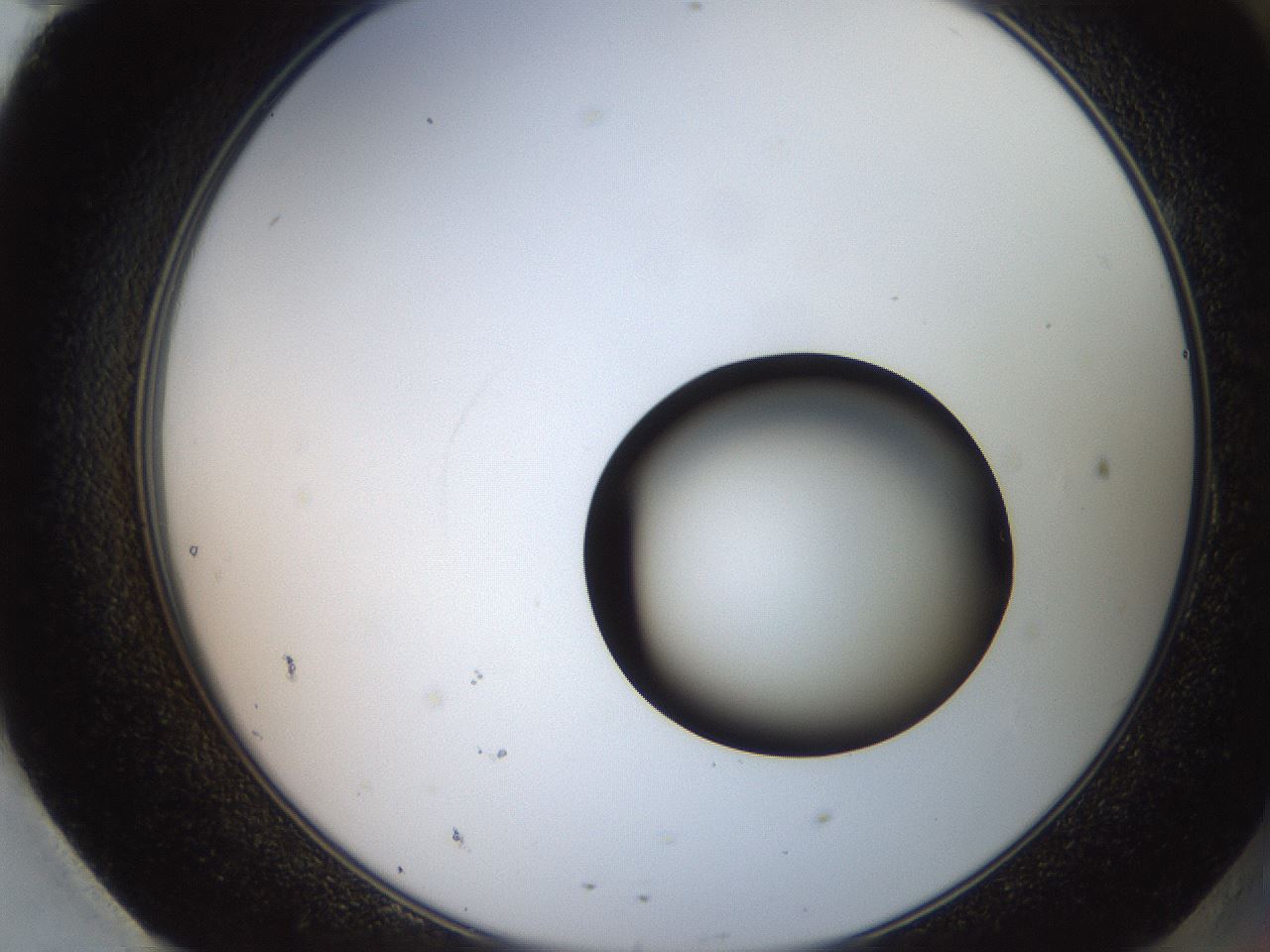 folderID248_plateID2248_batchID10283_wellNum95_profileID1_d2_r156024_ef.jpg