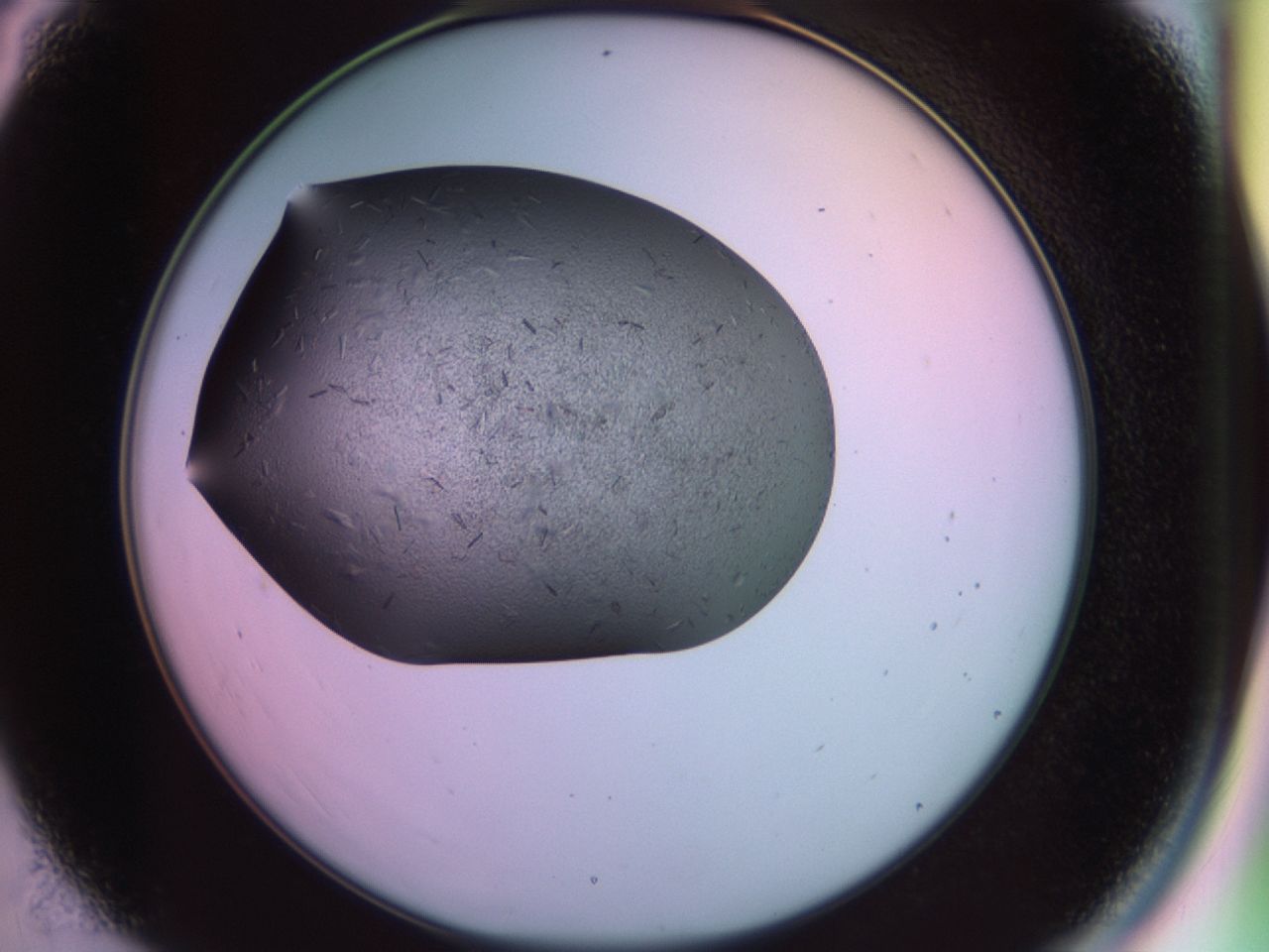 02hh_C4_ImagerDefaults_6.jpg