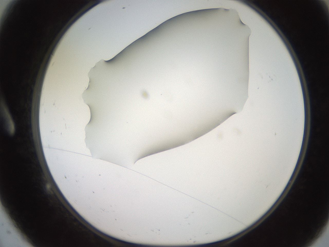 folderID248_plateID2248_batchID10283_wellNum9_profileID1_d1_r155851_ef.jpg