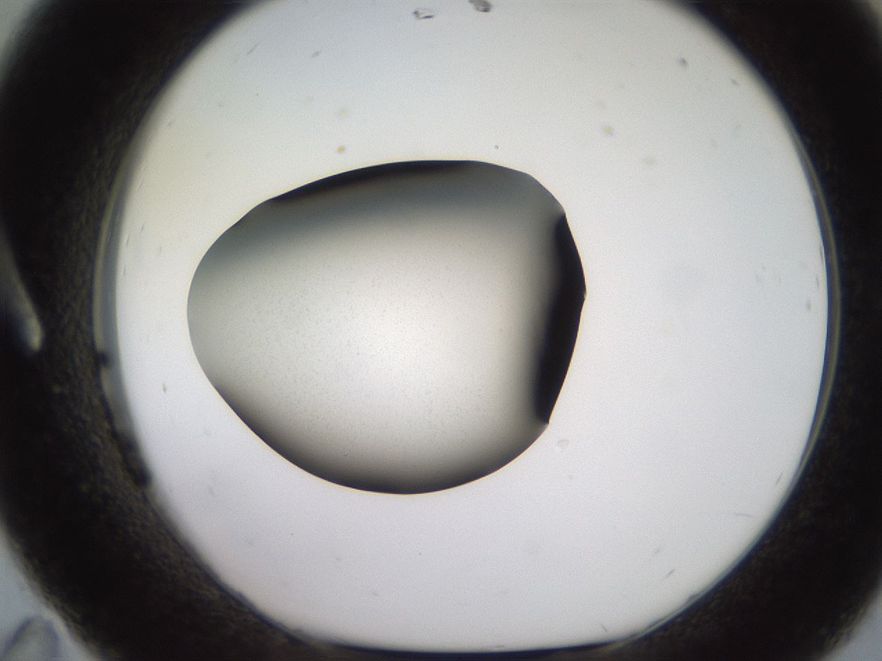 folderID249_plateID2249_batchID10284_wellNum11_profileID1_d1_r156242_ef.jpg