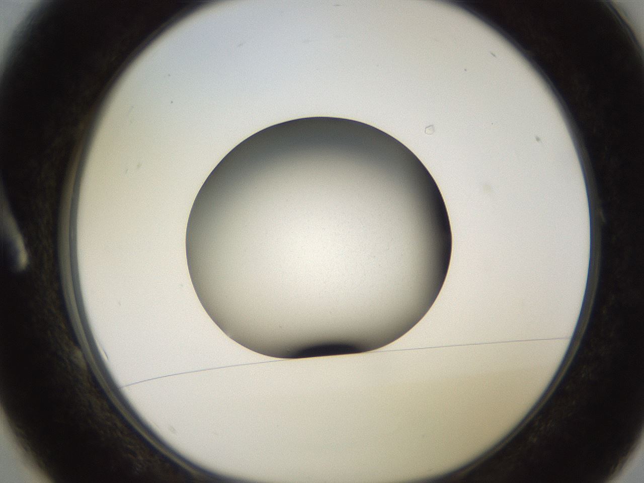 folderID249_plateID2249_batchID10284_wellNum1_profileID1_d1_r156222_ef.jpg