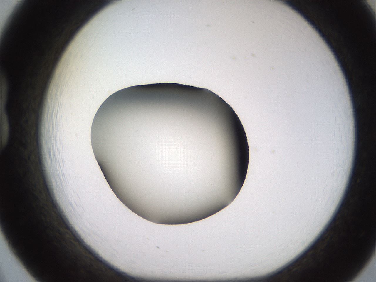 folderID249_plateID2249_batchID10284_wellNum20_profileID1_d1_r156260_ef.jpg