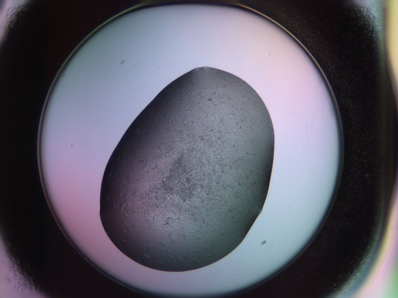 02hh_C3_ImagerDefaults_6.jpg