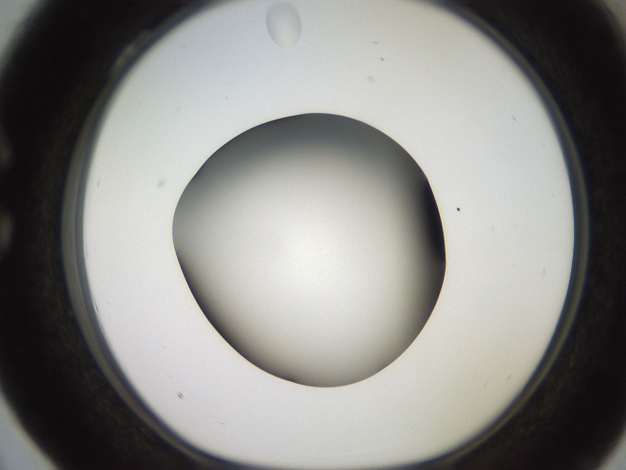 folderID249_plateID2249_batchID10284_wellNum28_profileID1_d1_r156276_ef.jpg