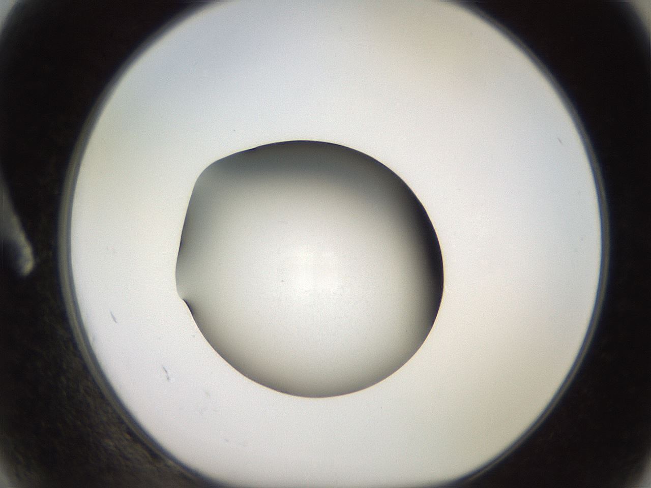 folderID249_plateID2249_batchID10284_wellNum2_profileID1_d1_r156224_ef.jpg