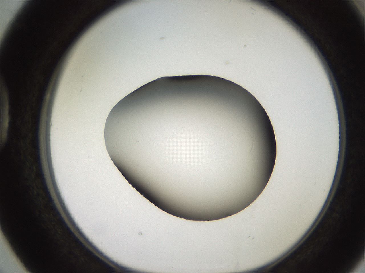 folderID249_plateID2249_batchID10284_wellNum38_profileID1_d1_r156296_ef.jpg