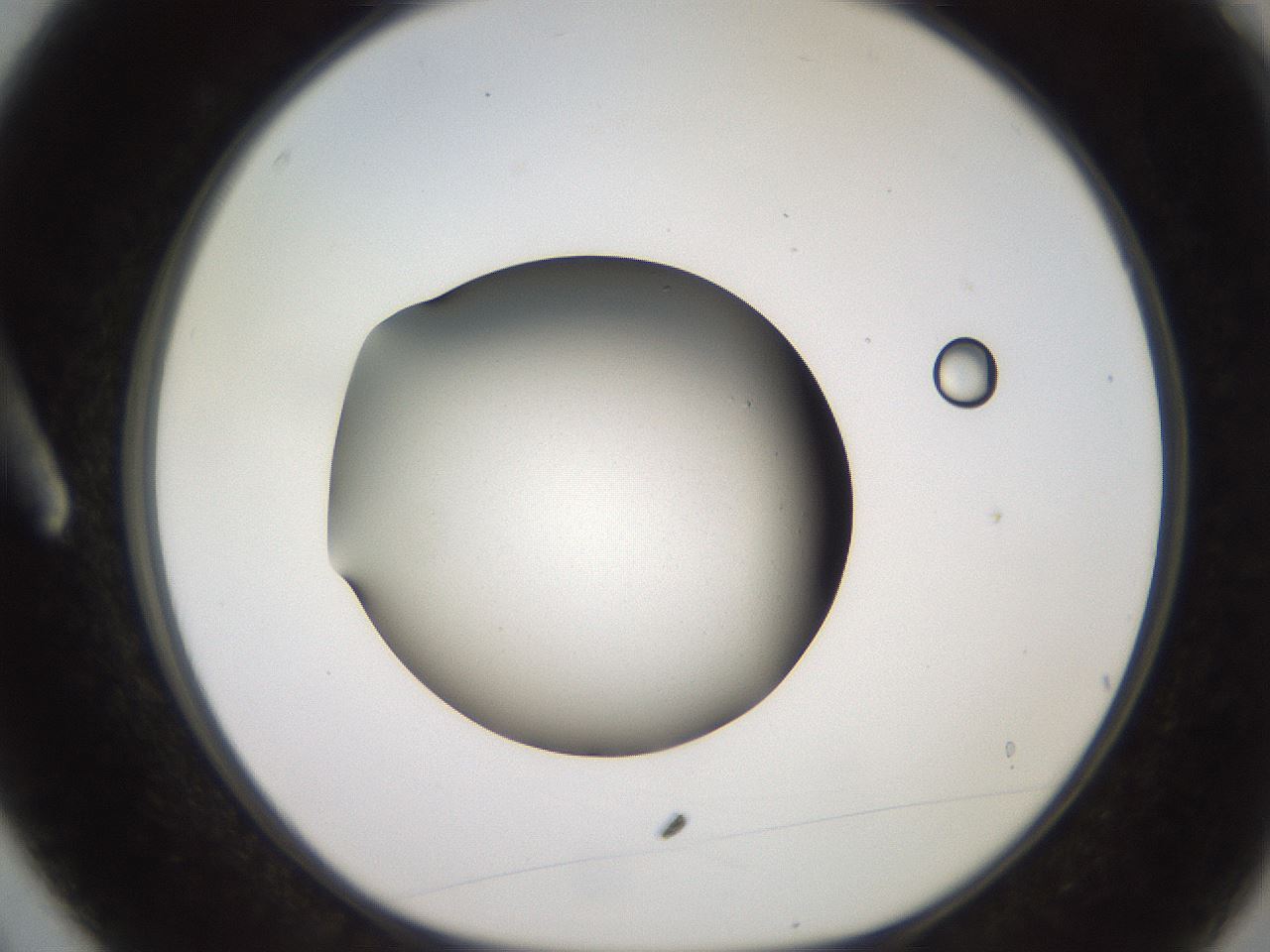 folderID249_plateID2249_batchID10284_wellNum3_profileID1_d1_r156226_ef.jpg