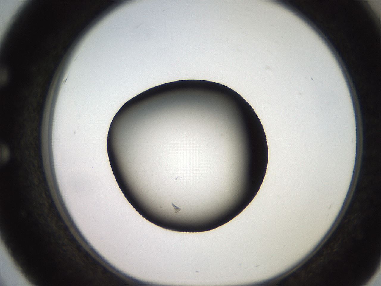 folderID249_plateID2249_batchID10284_wellNum51_profileID1_d1_r156322_ef.jpg