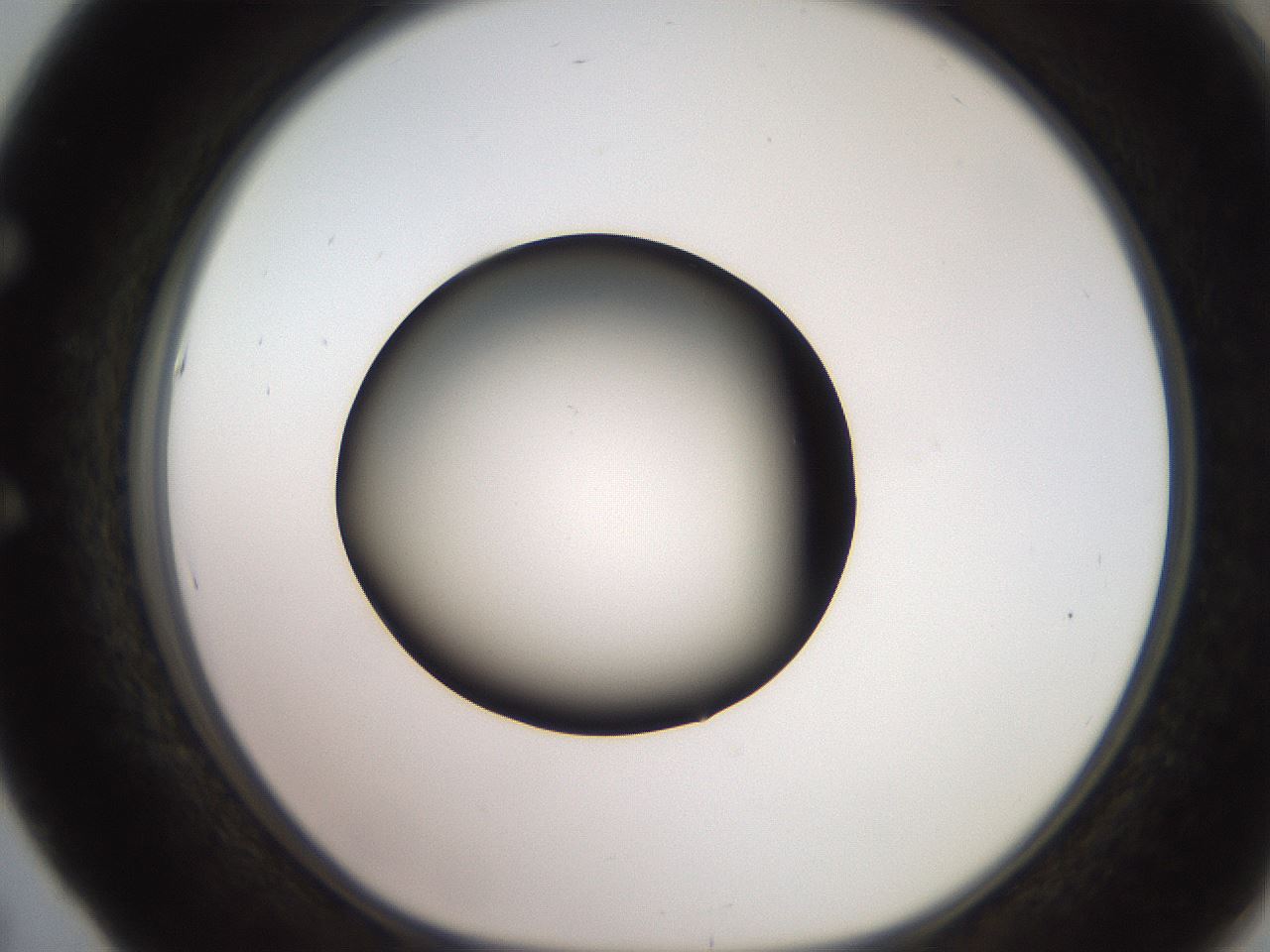 folderID249_plateID2249_batchID10284_wellNum53_profileID1_d1_r156326_ef.jpg