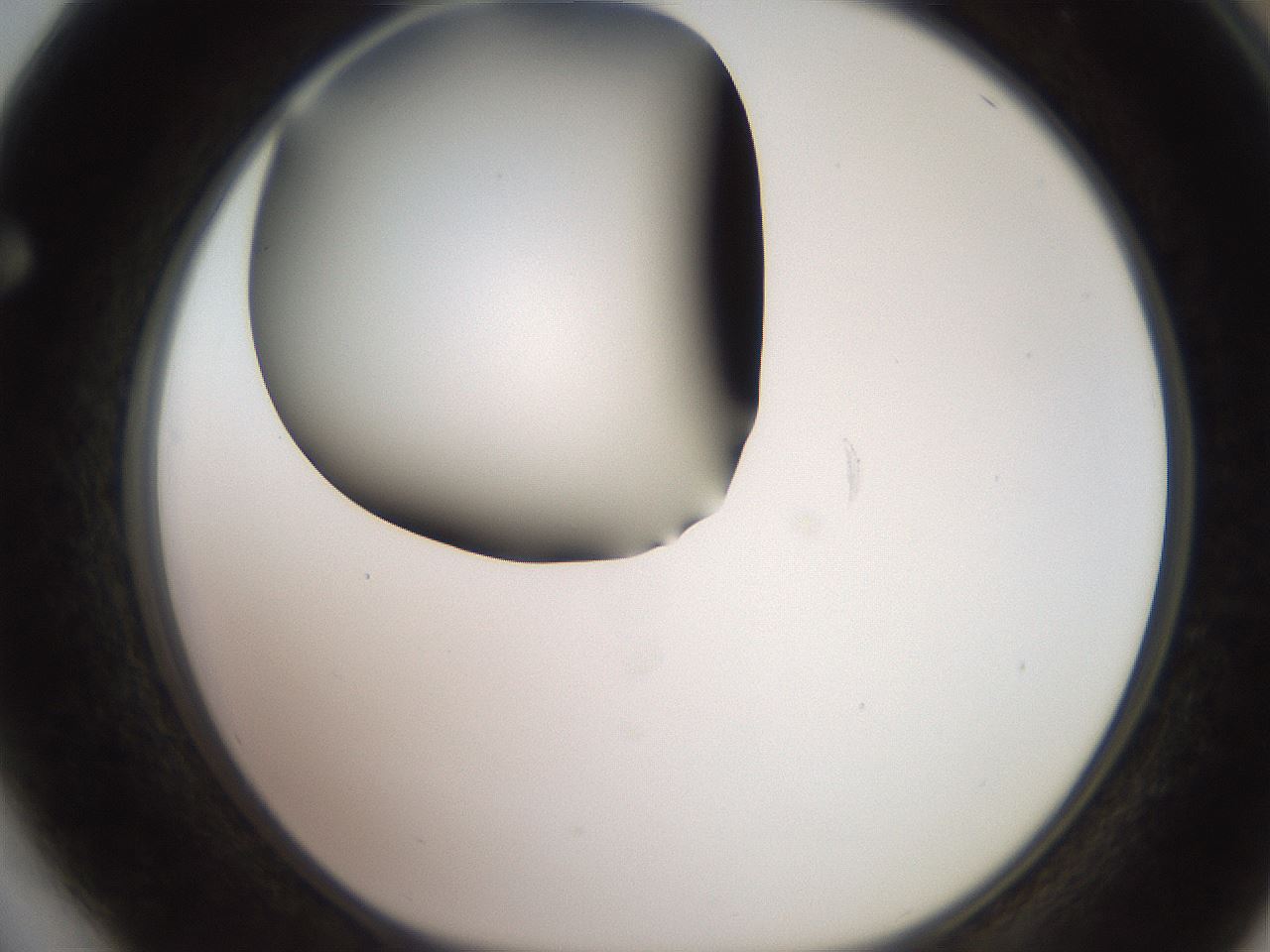 folderID249_plateID2249_batchID10284_wellNum64_profileID1_d1_r156348_ef.jpg