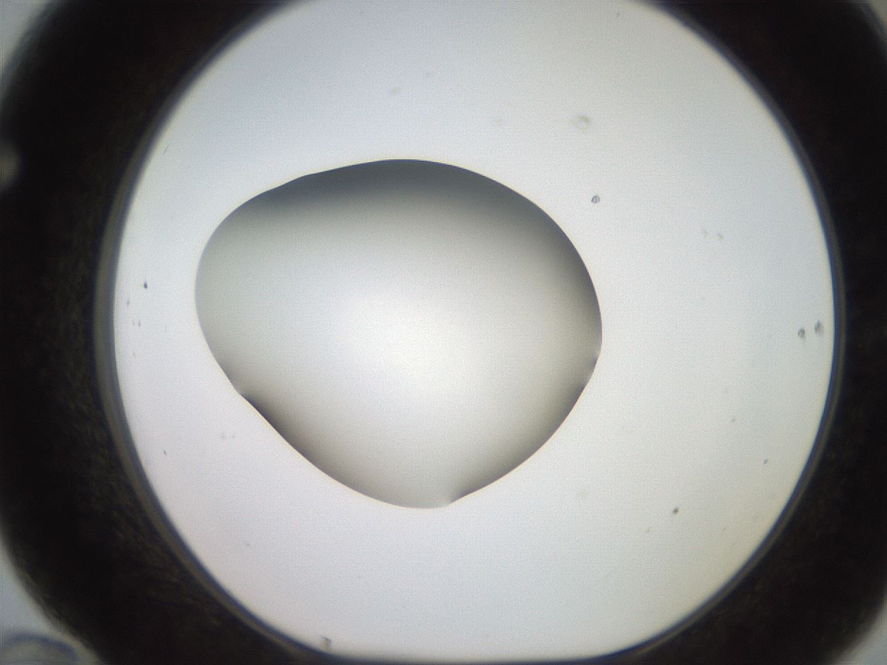 folderID249_plateID2249_batchID10284_wellNum70_profileID1_d1_r156360_ef.jpg