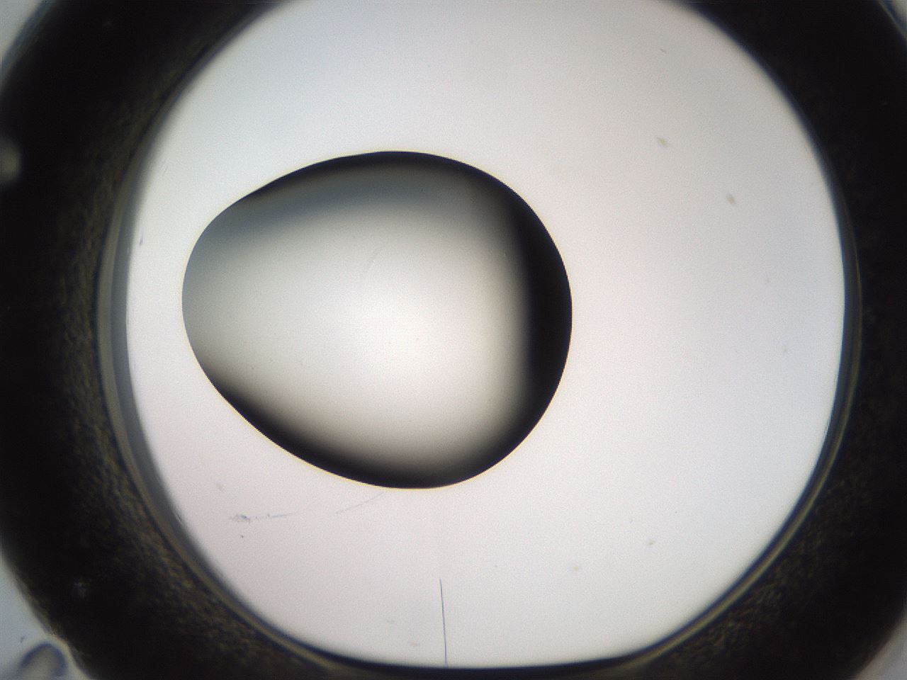 folderID249_plateID2249_batchID10284_wellNum71_profileID1_d1_r156362_ef.jpg