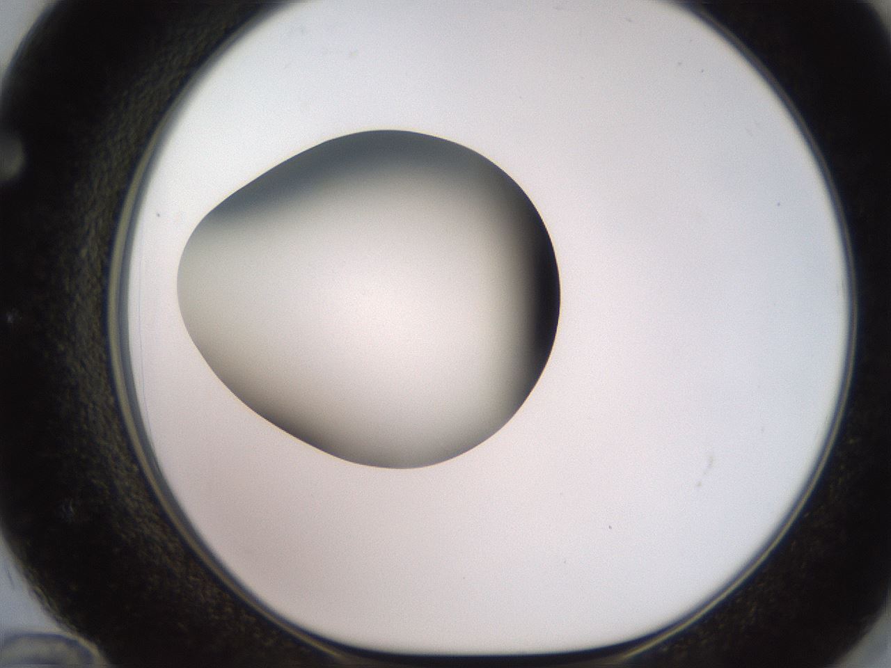 folderID249_plateID2249_batchID10284_wellNum72_profileID1_d1_r156364_ef.jpg